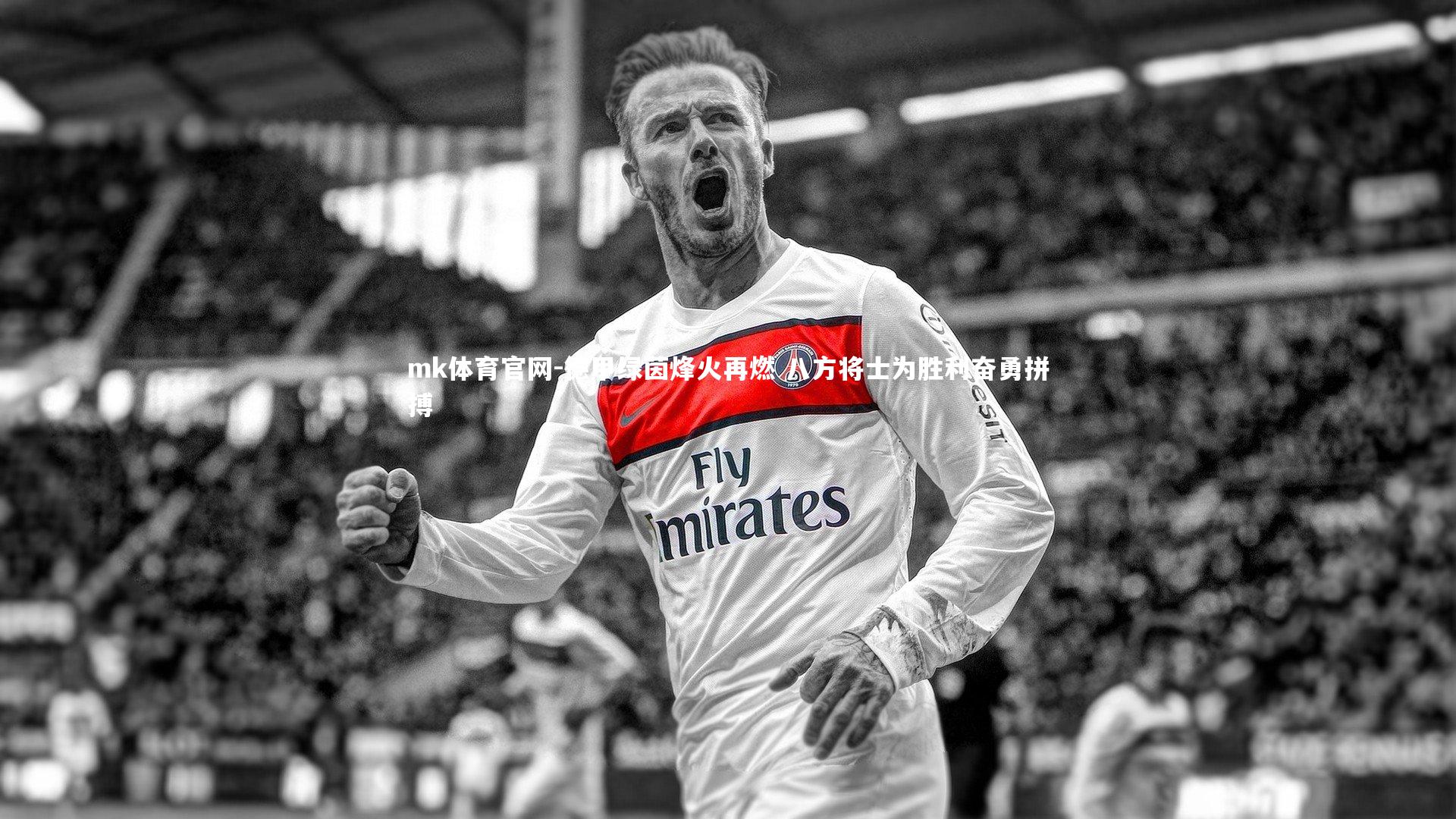 mk体育官网-德甲绿茵烽火再燃 八方将士为胜利奋勇拼搏-第1张图片-mk体育官网